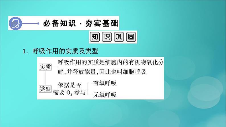 新高考适用2024版高考生物一轮总复习必修1分子与细胞第3单元细胞的能量供应和利用第2讲细胞呼吸课件06