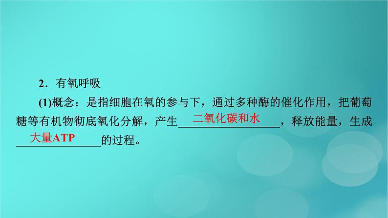 新高考适用2024版高考生物一轮总复习必修1分子与细胞第3单元细胞的能量供应和利用第2讲细胞呼吸课件07