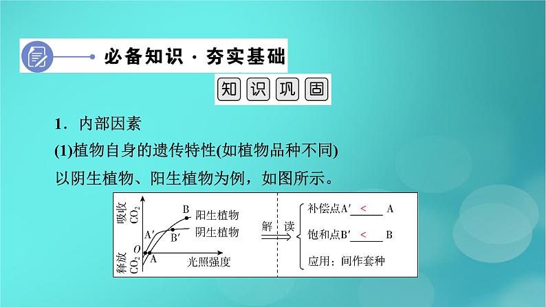 新高考适用2024版高考生物一轮总复习必修1分子与细胞第3单元细胞的能量供应和利用第3讲第2课时影响光合作用的环境因素及其应用课件第6页