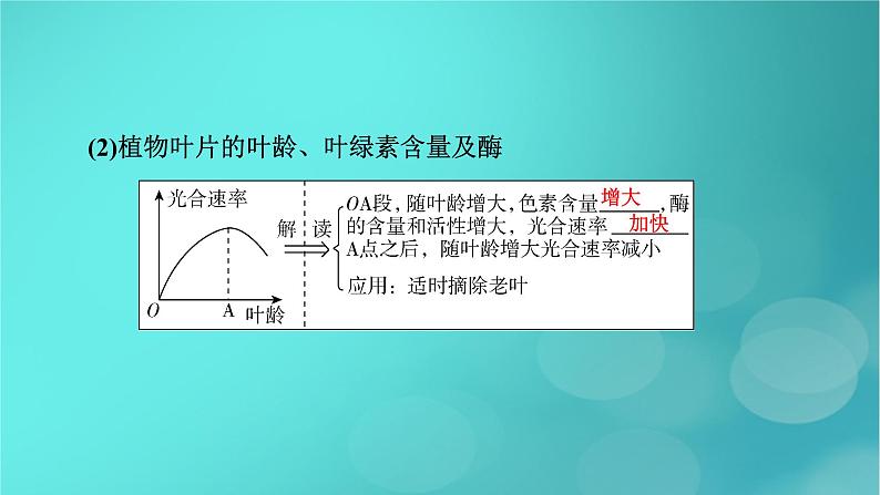 新高考适用2024版高考生物一轮总复习必修1分子与细胞第3单元细胞的能量供应和利用第3讲第2课时影响光合作用的环境因素及其应用课件第7页