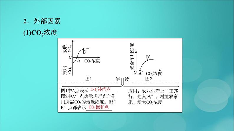 新高考适用2024版高考生物一轮总复习必修1分子与细胞第3单元细胞的能量供应和利用第3讲第2课时影响光合作用的环境因素及其应用课件第8页