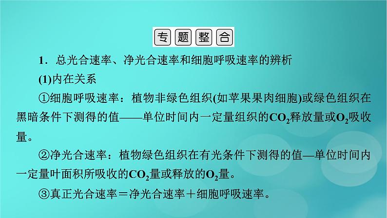 新高考适用2024版高考生物一轮总复习必修1分子与细胞第3单元细胞的能量供应和利用微专题植物“三率”的判定及测定课件第3页