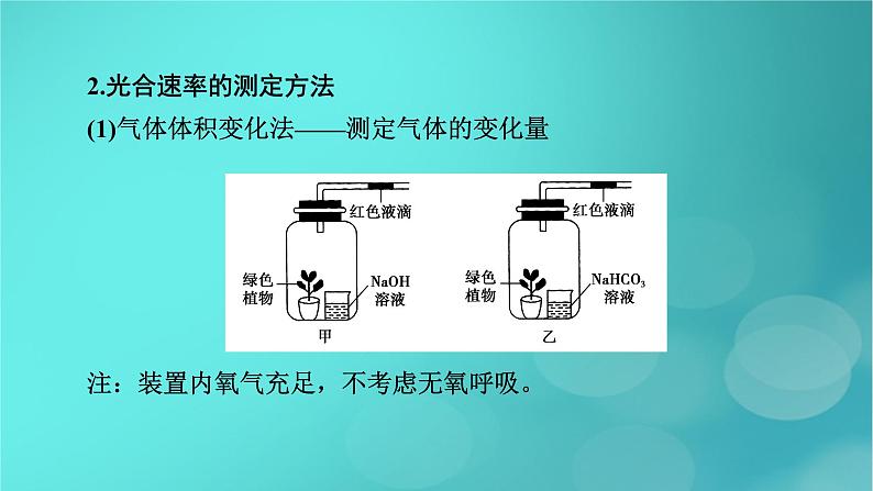 新高考适用2024版高考生物一轮总复习必修1分子与细胞第3单元细胞的能量供应和利用微专题植物“三率”的判定及测定课件第6页