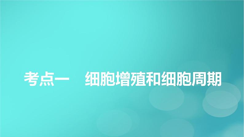 新高考适用2024版高考生物一轮总复习必修1分子与细胞第4单元细胞的生命历程第1讲细胞的增殖课件第5页