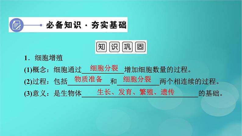 新高考适用2024版高考生物一轮总复习必修1分子与细胞第4单元细胞的生命历程第1讲细胞的增殖课件第6页