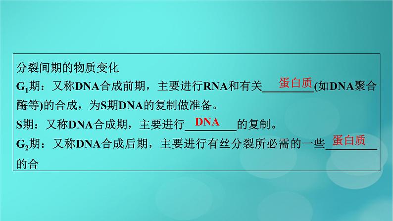 新高考适用2024版高考生物一轮总复习必修1分子与细胞第4单元细胞的生命历程第1讲细胞的增殖课件第8页