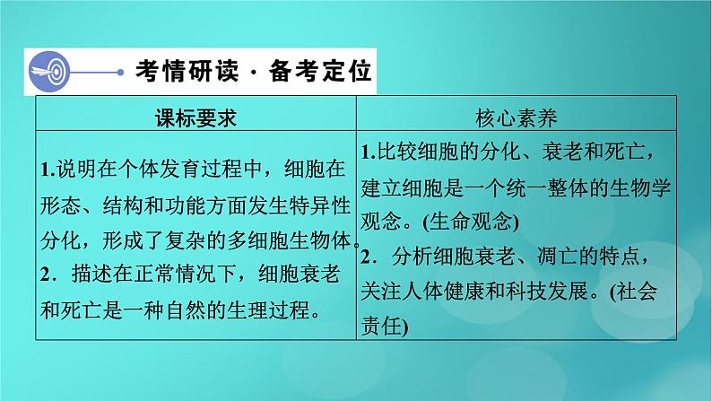 新高考适用2024版高考生物一轮总复习必修1分子与细胞第4单元细胞的生命历程第3讲细胞的分化衰老和死亡课件第4页