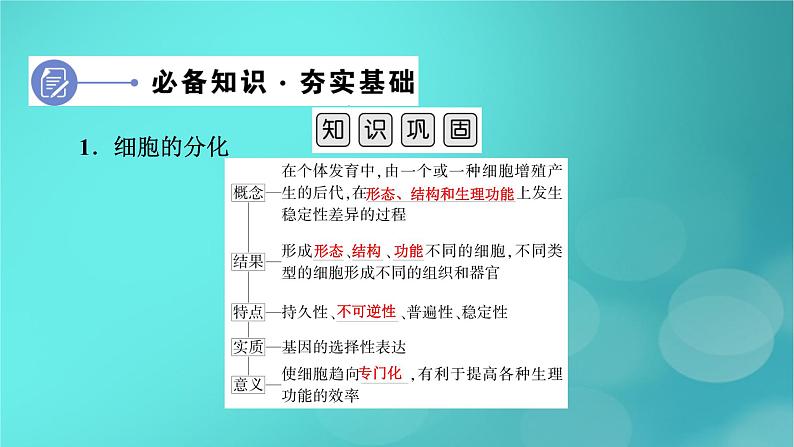 新高考适用2024版高考生物一轮总复习必修1分子与细胞第4单元细胞的生命历程第3讲细胞的分化衰老和死亡课件第6页