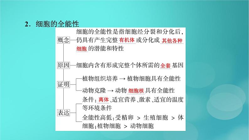 新高考适用2024版高考生物一轮总复习必修1分子与细胞第4单元细胞的生命历程第3讲细胞的分化衰老和死亡课件第8页