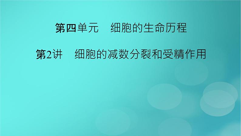 新高考适用2024版高考生物一轮总复习必修1分子与细胞第4单元细胞的生命历程第2讲细胞的减数分裂和受精作用课件02