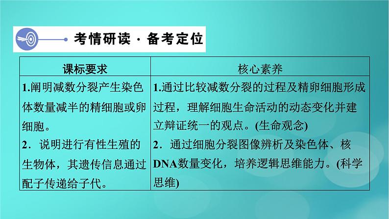 新高考适用2024版高考生物一轮总复习必修1分子与细胞第4单元细胞的生命历程第2讲细胞的减数分裂和受精作用课件04