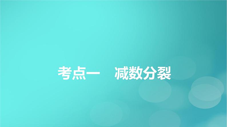 新高考适用2024版高考生物一轮总复习必修1分子与细胞第4单元细胞的生命历程第2讲细胞的减数分裂和受精作用课件05