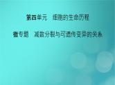 新高考适用2024版高考生物一轮总复习必修1分子与细胞第4单元细胞的生命历程微专题减数分裂与可遗传变异的关系课件