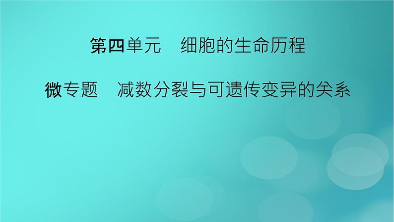 新高考适用2024版高考生物一轮总复习必修1分子与细胞第4单元细胞的生命历程微专题减数分裂与可遗传变异的关系课件第2页