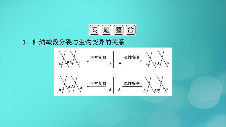 新高考适用2024版高考生物一轮总复习必修1分子与细胞第4单元细胞的生命历程微专题减数分裂与可遗传变异的关系课件第3页