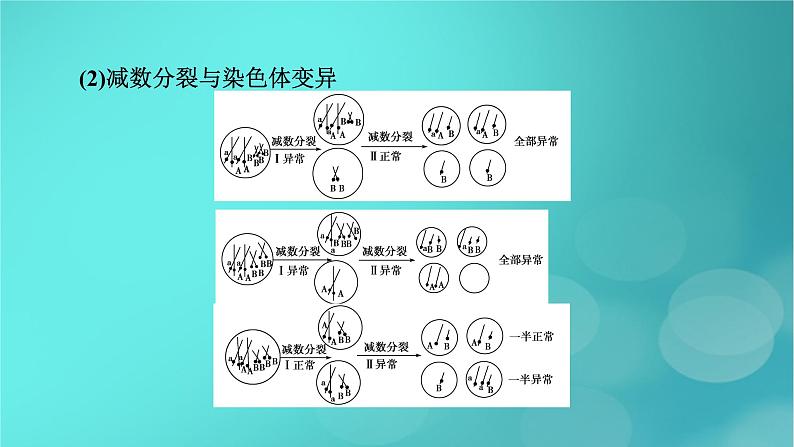 新高考适用2024版高考生物一轮总复习必修1分子与细胞第4单元细胞的生命历程微专题减数分裂与可遗传变异的关系课件第6页