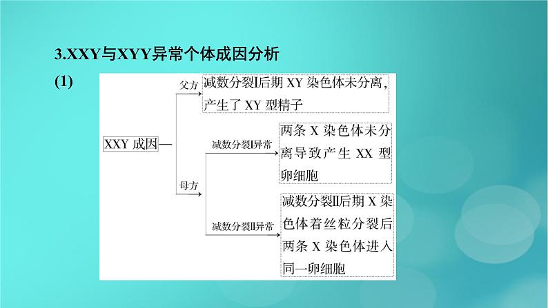 新高考适用2024版高考生物一轮总复习必修1分子与细胞第4单元细胞的生命历程微专题减数分裂与可遗传变异的关系课件第8页