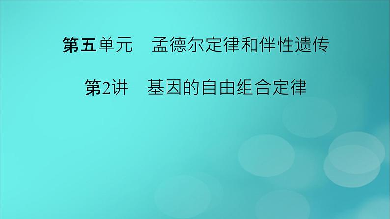 新高考适用2024版高考生物一轮总复习必修2遗传与进化第5单元孟德尔定律和伴性遗传第2讲基因的自由组合定律课件第2页