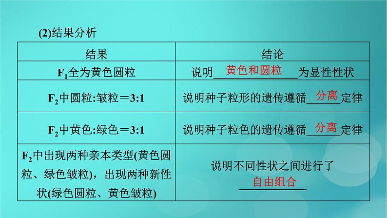 新高考适用2024版高考生物一轮总复习必修2遗传与进化第5单元孟德尔定律和伴性遗传第2讲基因的自由组合定律课件第7页