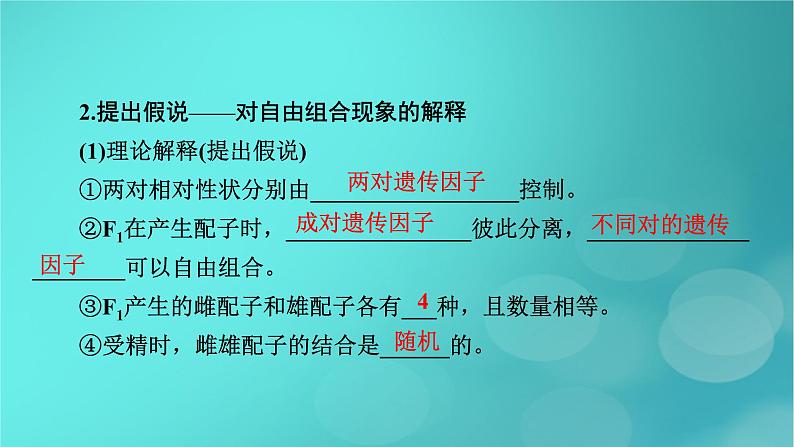 新高考适用2024版高考生物一轮总复习必修2遗传与进化第5单元孟德尔定律和伴性遗传第2讲基因的自由组合定律课件第8页