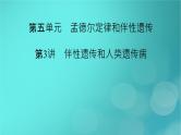 新高考适用2024版高考生物一轮总复习必修2遗传与进化第5单元孟德尔定律和伴性遗传第3讲伴性遗传和人类遗传参件课件PPT