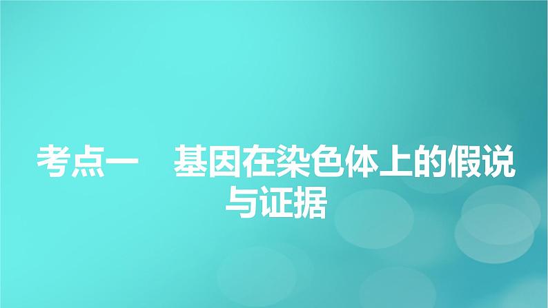 新高考适用2024版高考生物一轮总复习必修2遗传与进化第5单元孟德尔定律和伴性遗传第3讲伴性遗传和人类遗传参件课件PPT05