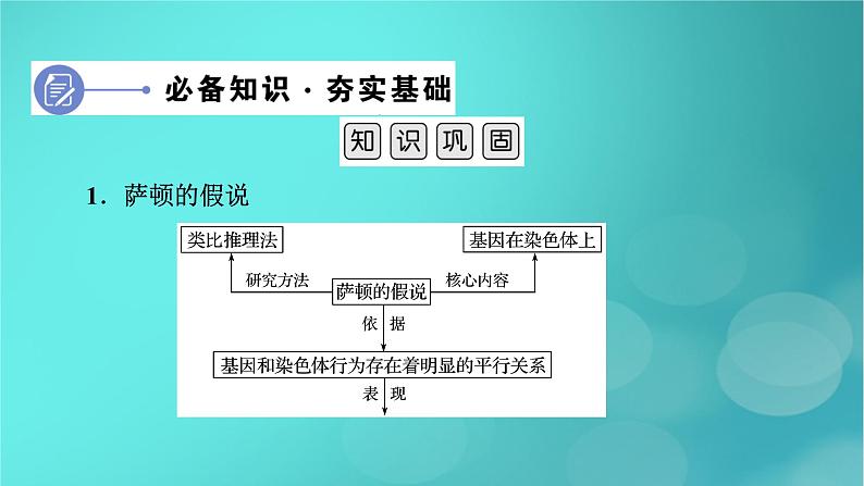 新高考适用2024版高考生物一轮总复习必修2遗传与进化第5单元孟德尔定律和伴性遗传第3讲伴性遗传和人类遗传参件课件PPT06