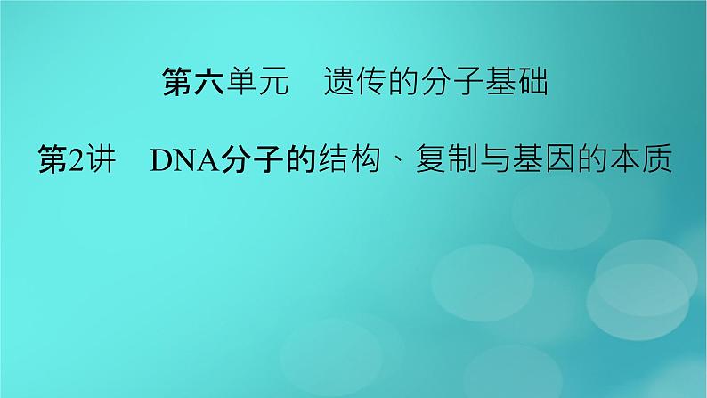 新高考适用2024版高考生物一轮总复习必修2遗传与进化第6单元遗传的分子基础第2讲DNA分子的结构复制与基因的本质课件第2页