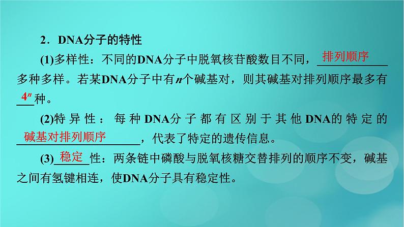 新高考适用2024版高考生物一轮总复习必修2遗传与进化第6单元遗传的分子基础第2讲DNA分子的结构复制与基因的本质课件第8页