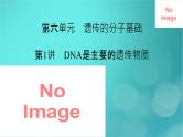 新高考适用2024版高考生物一轮总复习必修2遗传与进化第6单元遗传的分子基础第1讲DNA是主要的遗传物质课件