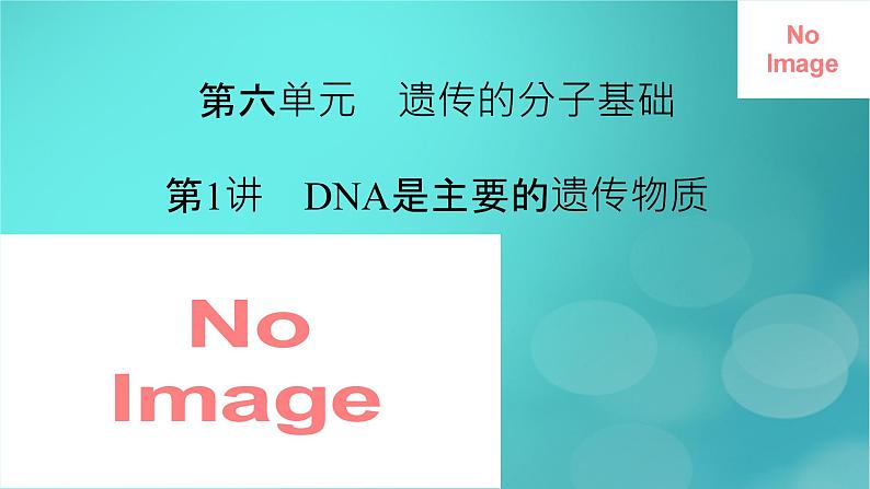 新高考适用2024版高考生物一轮总复习必修2遗传与进化第6单元遗传的分子基础第1讲DNA是主要的遗传物质课件第2页