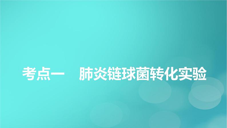 新高考适用2024版高考生物一轮总复习必修2遗传与进化第6单元遗传的分子基础第1讲DNA是主要的遗传物质课件第5页