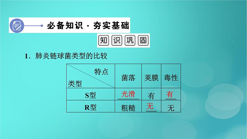 新高考适用2024版高考生物一轮总复习必修2遗传与进化第6单元遗传的分子基础第1讲DNA是主要的遗传物质课件第6页