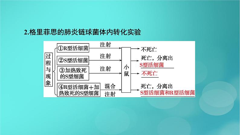 新高考适用2024版高考生物一轮总复习必修2遗传与进化第6单元遗传的分子基础第1讲DNA是主要的遗传物质课件第7页