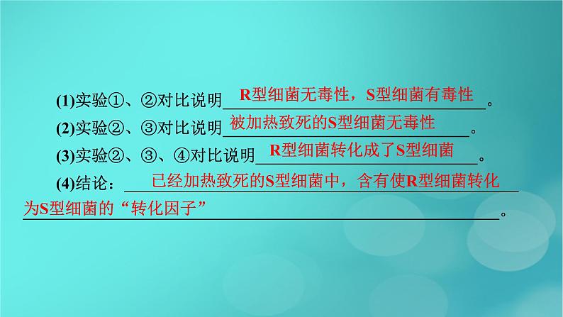 新高考适用2024版高考生物一轮总复习必修2遗传与进化第6单元遗传的分子基础第1讲DNA是主要的遗传物质课件第8页