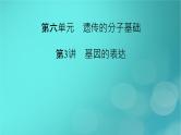 新高考适用2024版高考生物一轮总复习必修2遗传与进化第6单元遗传的分子基础第3讲基因的表达课件