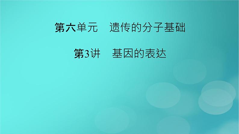 新高考适用2024版高考生物一轮总复习必修2遗传与进化第6单元遗传的分子基础第3讲基因的表达课件第2页