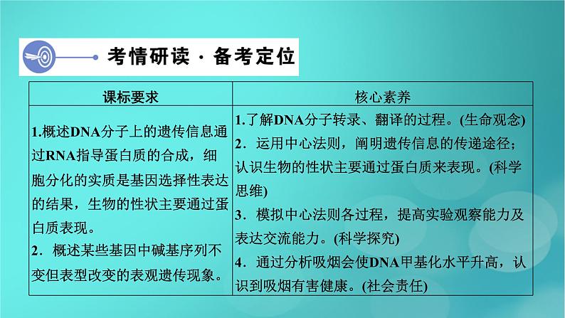 新高考适用2024版高考生物一轮总复习必修2遗传与进化第6单元遗传的分子基础第3讲基因的表达课件第4页