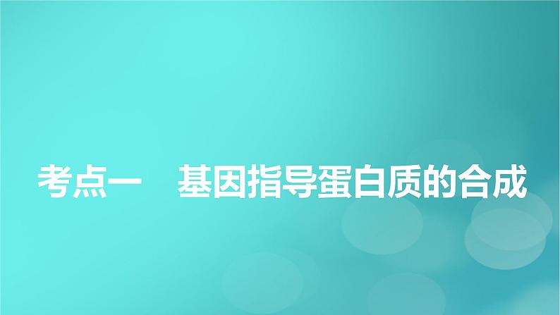 新高考适用2024版高考生物一轮总复习必修2遗传与进化第6单元遗传的分子基础第3讲基因的表达课件第5页