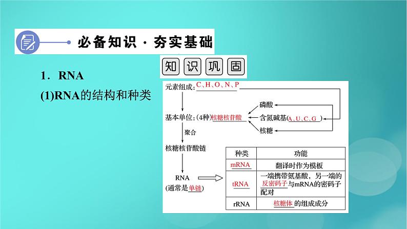 新高考适用2024版高考生物一轮总复习必修2遗传与进化第6单元遗传的分子基础第3讲基因的表达课件第6页