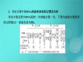 新高考适用2024版高考生物一轮总复习必修2遗传与进化第6单元遗传的分子基础微专题DNA复制与细胞分裂中染色体标记情况的知识整合课件
