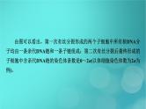 新高考适用2024版高考生物一轮总复习必修2遗传与进化第6单元遗传的分子基础微专题DNA复制与细胞分裂中染色体标记情况的知识整合课件