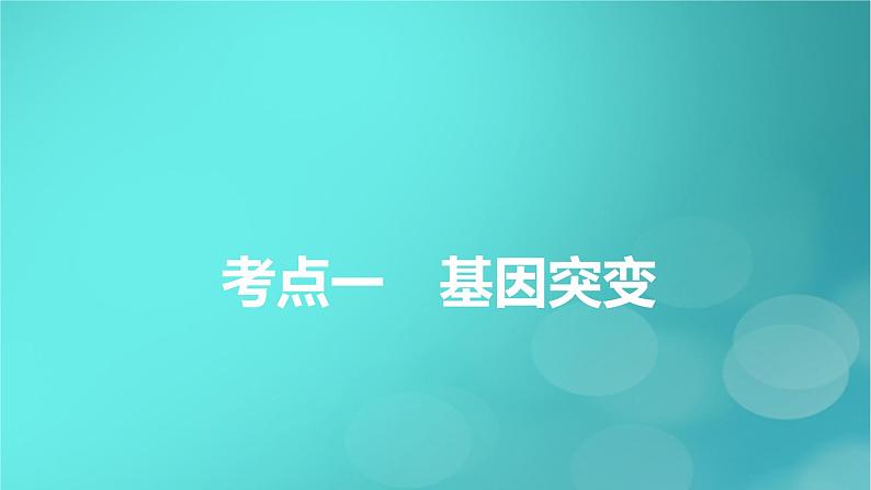 新高考适用2024版高考生物一轮总复习必修2遗传与进化第7单元生物的变异育种与进化第1讲基因突变和基因重组课件05