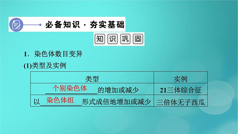 新高考适用2024版高考生物一轮总复习必修2遗传与进化第7单元生物的变异育种与进化第2讲染色体变异及其应用课件06