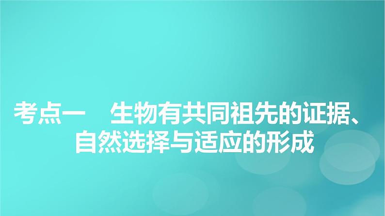 新高考适用2024版高考生物一轮总复习必修2遗传与进化第7单元生物的变异育种与进化第3讲生物的进化课件05