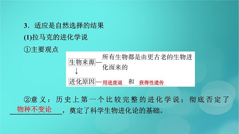 新高考适用2024版高考生物一轮总复习必修2遗传与进化第7单元生物的变异育种与进化第3讲生物的进化课件08