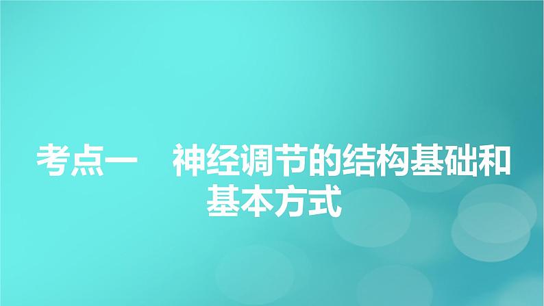 新高考适用2024版高考生物一轮总复习选择性必修1稳态与调节第8单元稳态与调节第2讲神经调节的基础方式与神经冲动的产生和传导课件第5页