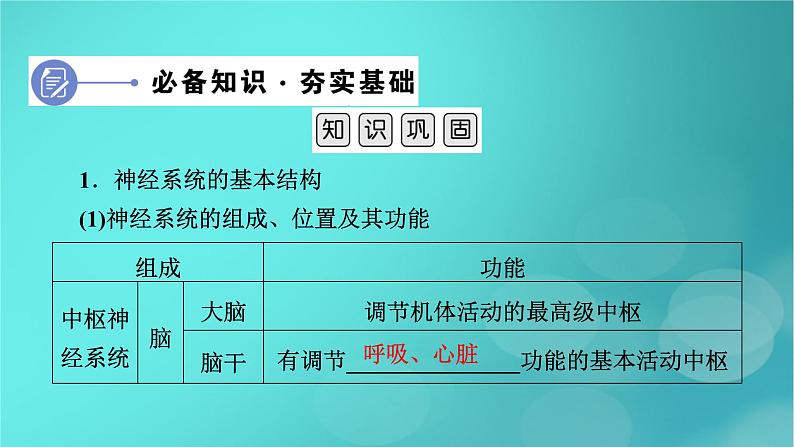 新高考适用2024版高考生物一轮总复习选择性必修1稳态与调节第8单元稳态与调节第2讲神经调节的基础方式与神经冲动的产生和传导课件第6页