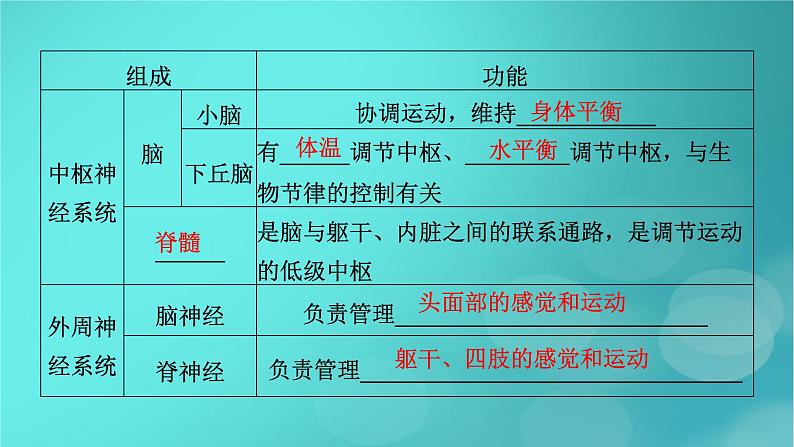 新高考适用2024版高考生物一轮总复习选择性必修1稳态与调节第8单元稳态与调节第2讲神经调节的基础方式与神经冲动的产生和传导课件第7页