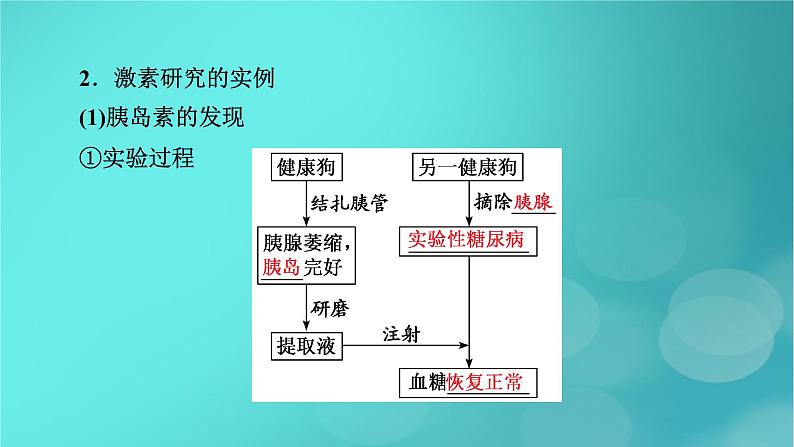 新高考适用2024版高考生物一轮总复习选择性必修1稳态与调节第8单元稳态与调节第4讲体液调节课件第8页